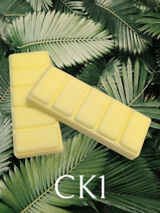 CK1 WAX MELT SNAP BAR