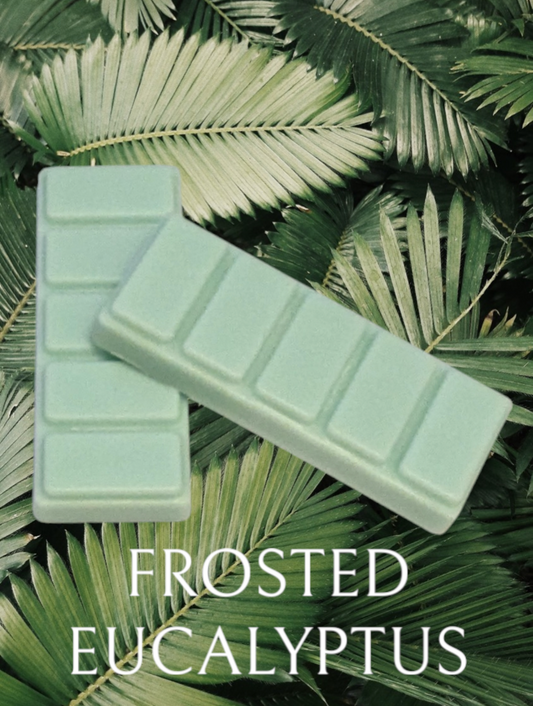 FROSTED EUCALYPTUS WAX MELT SNAP BAR