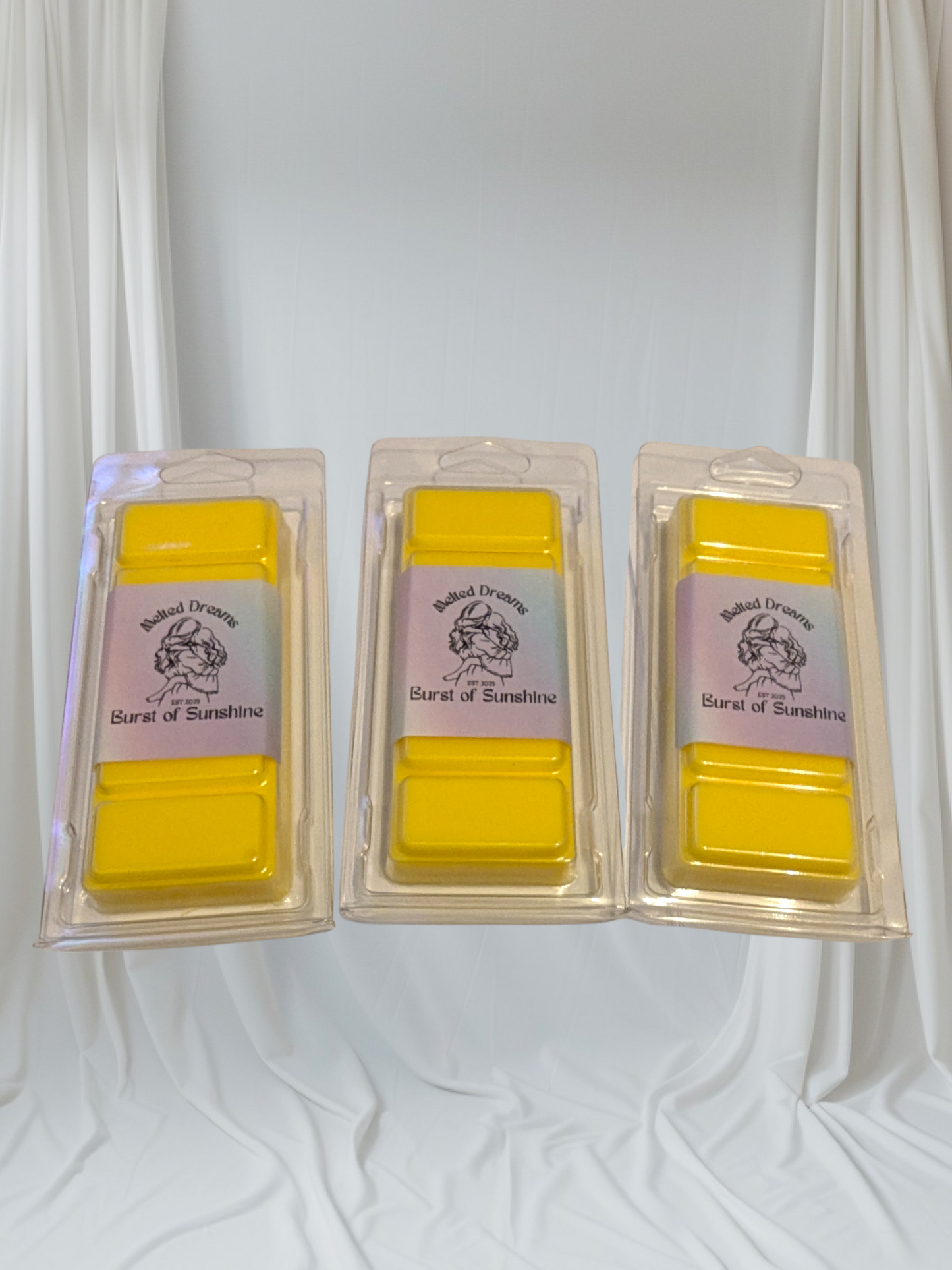 BURST OF SUNSHINE WAX MELT SNAP BAR