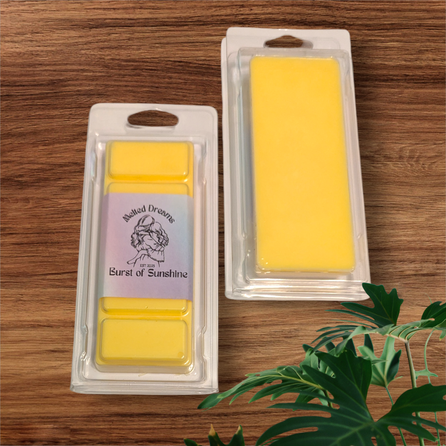 BURST OF SUNSHINE WAX MELT SNAP BAR