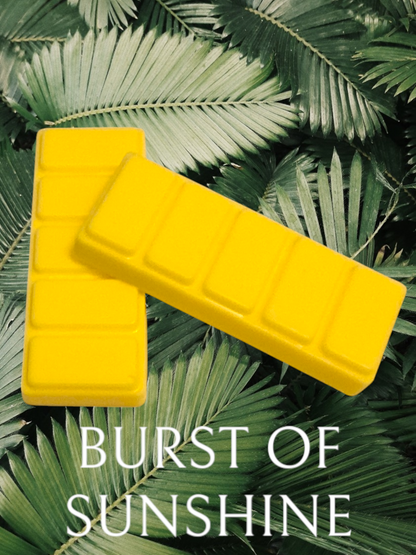 BURST OF SUNSHINE WAX MELT SNAP BAR